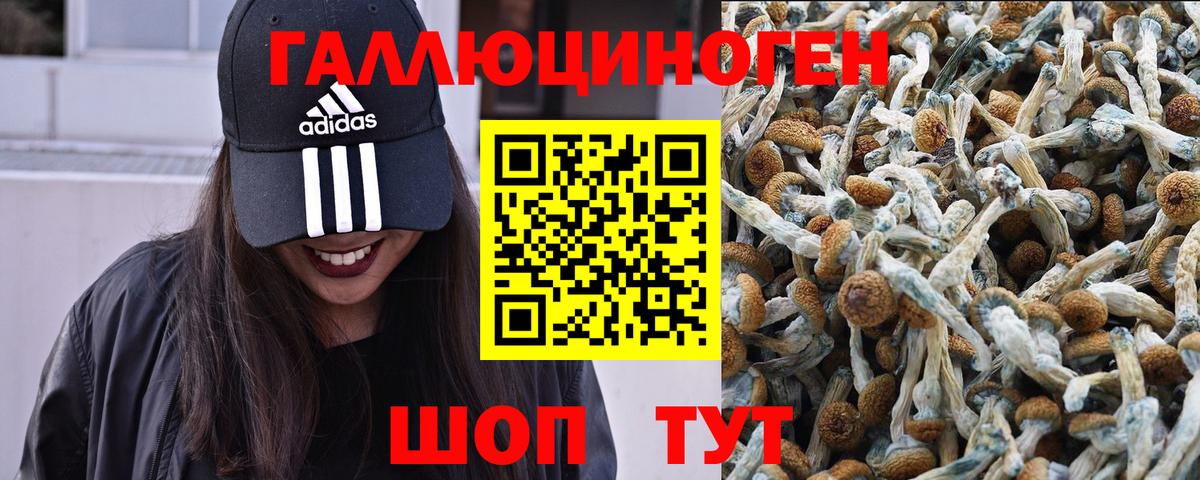 Югорск  Галлюциногенные грибы Cubensis  Вход с VPN  наркотики  Псилоцибиновые грибы Cubensis 