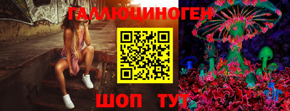Псилоцибиновые грибы Psilocybine cubensis Югорск